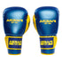 "SUNSTORM" BOXING GLOVES